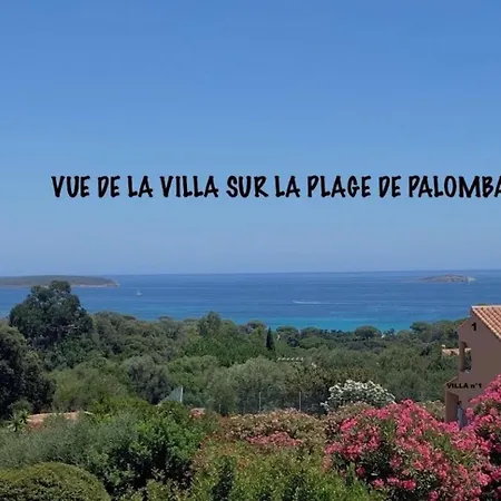 Résidence U Latonu Hébergement de vacances
