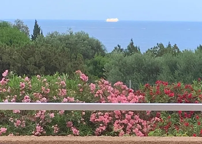 Résidence U Latonu Hébergement de vacances Porto-Vecchio (Corsica)