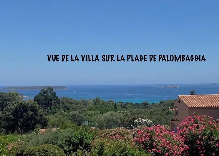 Résidence U Latonu Hébergement de vacances